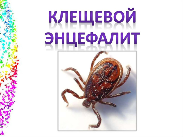 Всероссийская горячая линия по по профилактике клещевого энцефалита и инфекций, передающихся клещами.